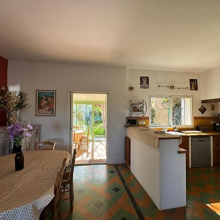 La Boissetane, Maison Provencale Avec Piscine Et Jardin, Au Pied Du Luberon Saint-Martin-de-Castillon Екстер'єр фото